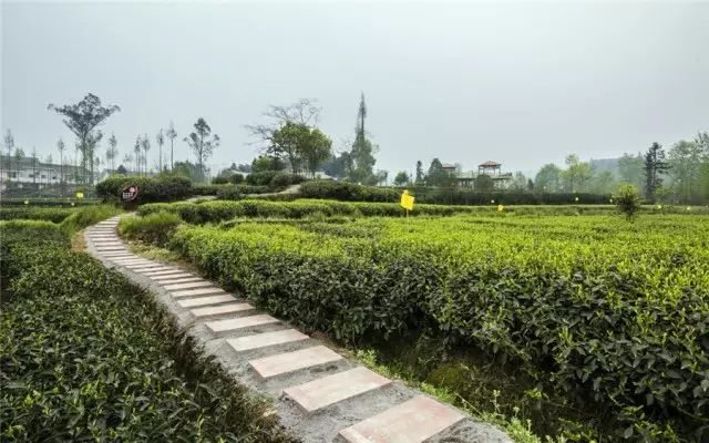 幸福美丽新村建设内容,建设幸福美丽新村的方案