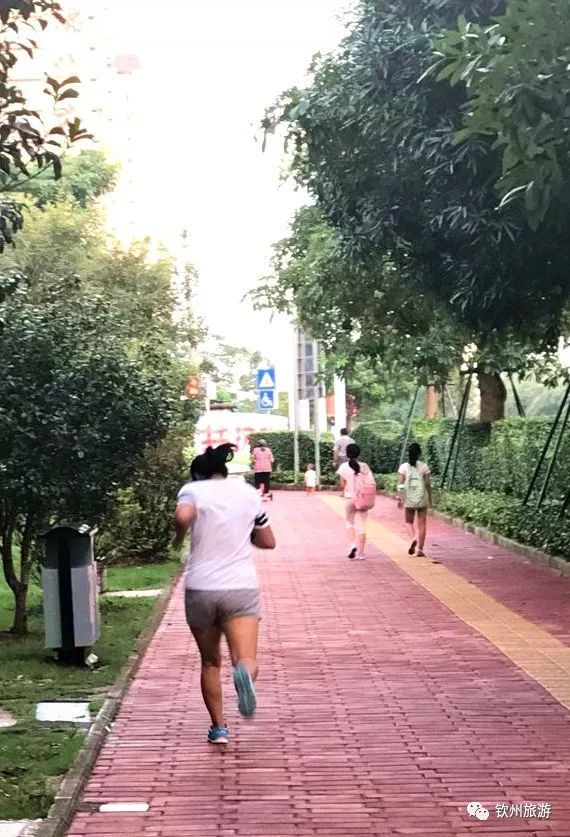 閽﹀窞璺戞璺嚎,閽﹀窞涓北鍏洯璺戞