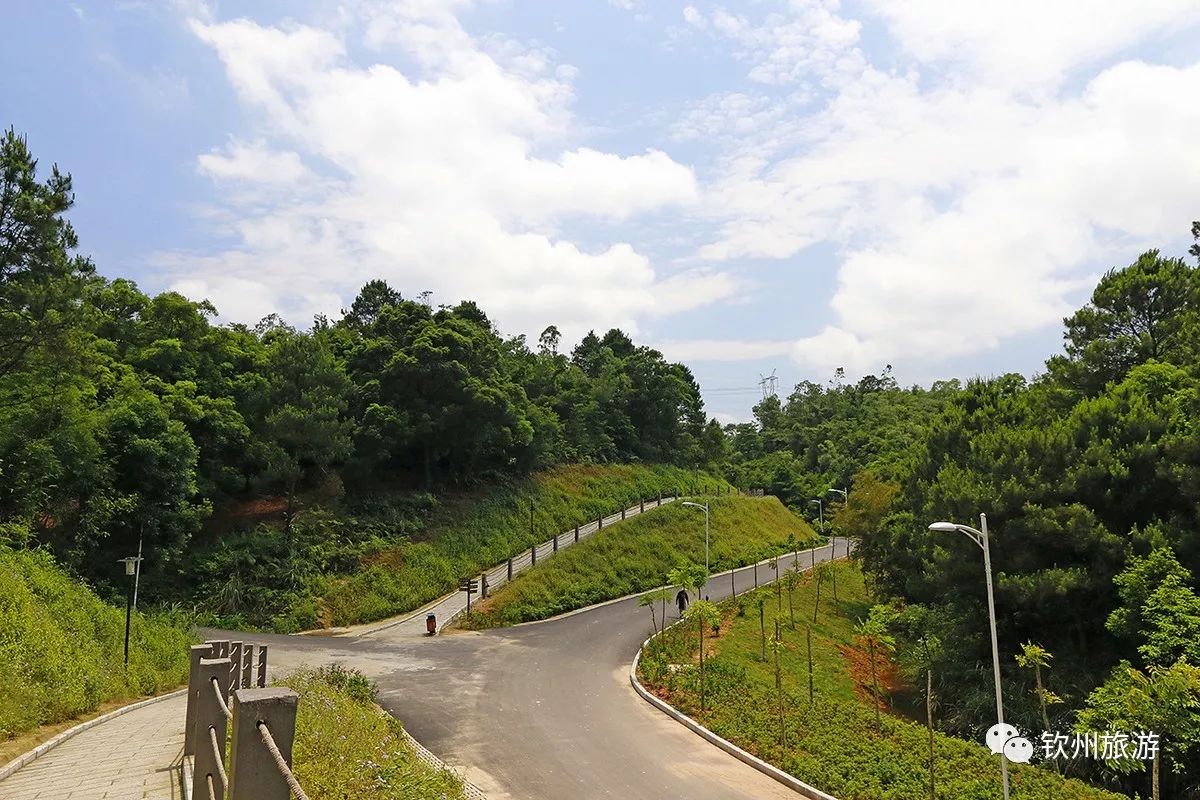 閽﹀窞璺戞璺嚎,閽﹀窞涓北鍏洯璺戞