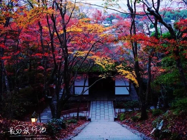 又是一年赏枫季,又是一年赏秋季