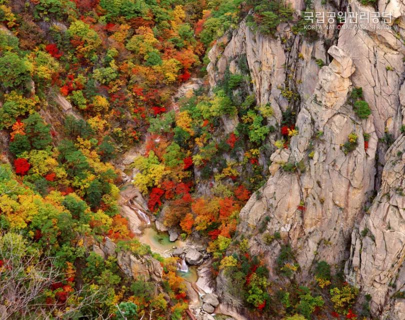 又是一年赏枫季,又是一年赏秋季