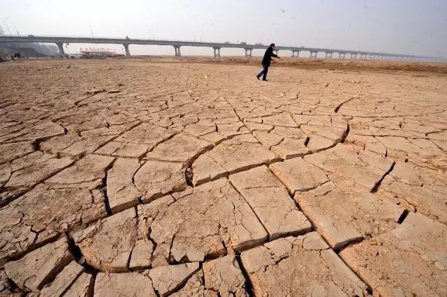 这些令人不可思议的冷知识,这些奇特的冷知识你们知道吗