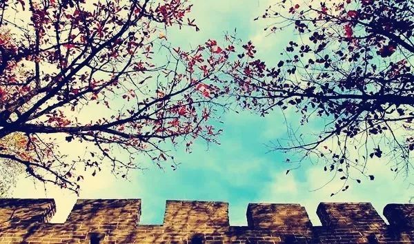 「夜读」“北平之秋便是人间天堂!”秋天的北京美成这样,难怪老舍如此盛赞……(有声朗读)