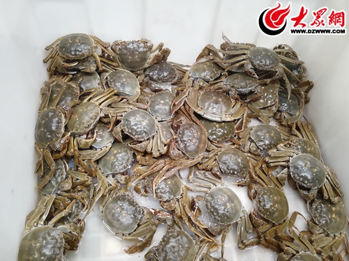 海鲜品种丰富螃蟹价格上涨,螃蟹海鲜多少钱一斤
