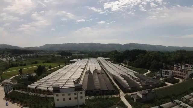 幸福美丽新村建设内容,建设幸福美丽新村的方案