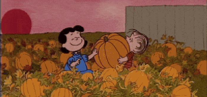 吃南瓜有助于降血糖吗,吃南瓜有助于降血糖是真的吗