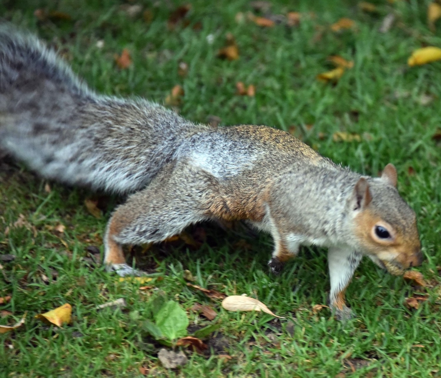 英国著名的城堡有哪些,英国城堡多少年了
