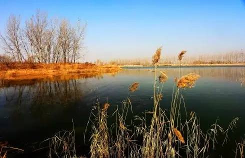 这些令人不可思议的冷知识,这些奇特的冷知识你们知道吗