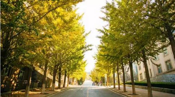 这些令人不可思议的冷知识,这些奇特的冷知识你们知道吗