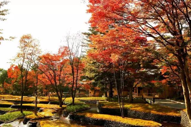 虹夕诺雅酒店测评,庐山虹夕诺雅酒店