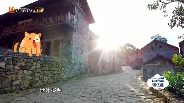 2022年万峰林机场航班时刻表,万峰林机场航班时刻表2023