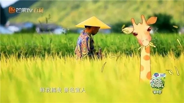 2022年万峰林机场航班时刻表,万峰林机场航班时刻表2023