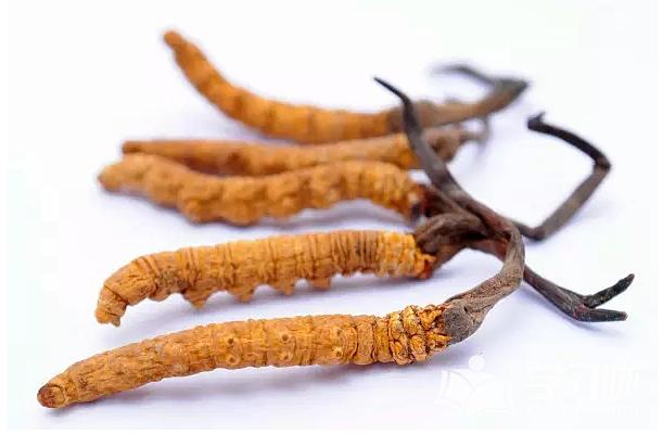 虫草素是冬虫夏草的活性成分嘛,冬虫夏草不含虫草素