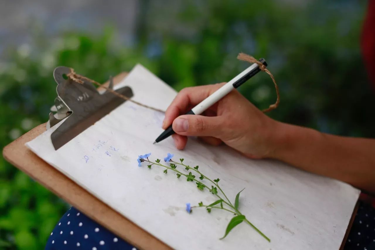 花田里逛了3小时，花材、花束、年度美照都有了