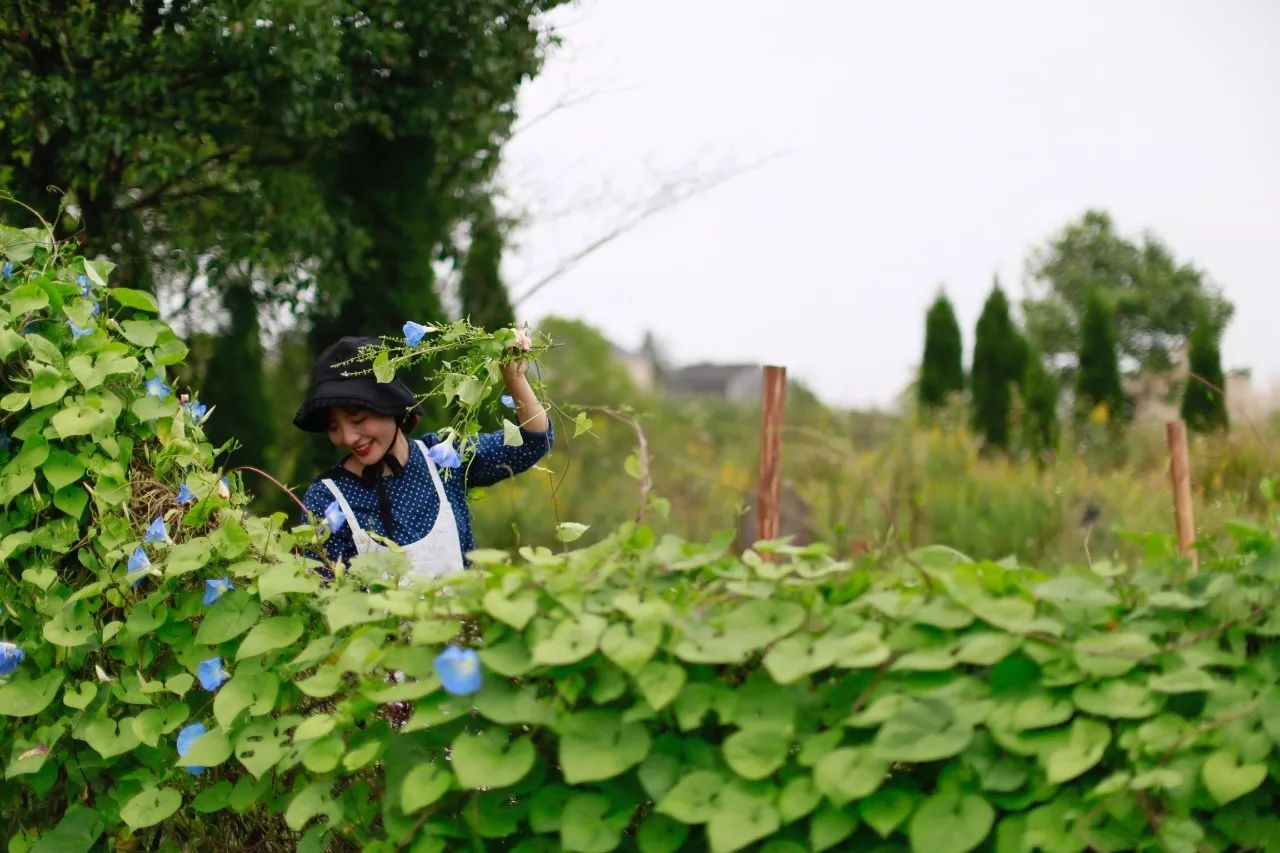 花田里逛了3小时，花材、花束、年度美照都有了