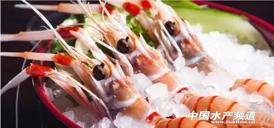 虾类有几千种，你又认识几种？