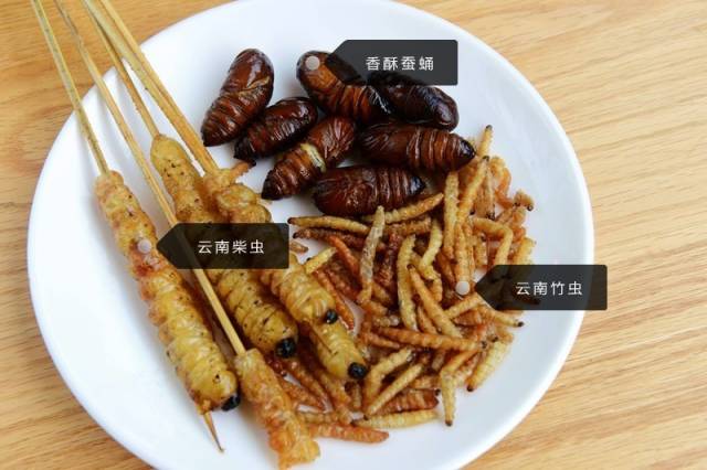 北京哪里自助海鲜便宜又好吃,北京最值得去的海鲜自助