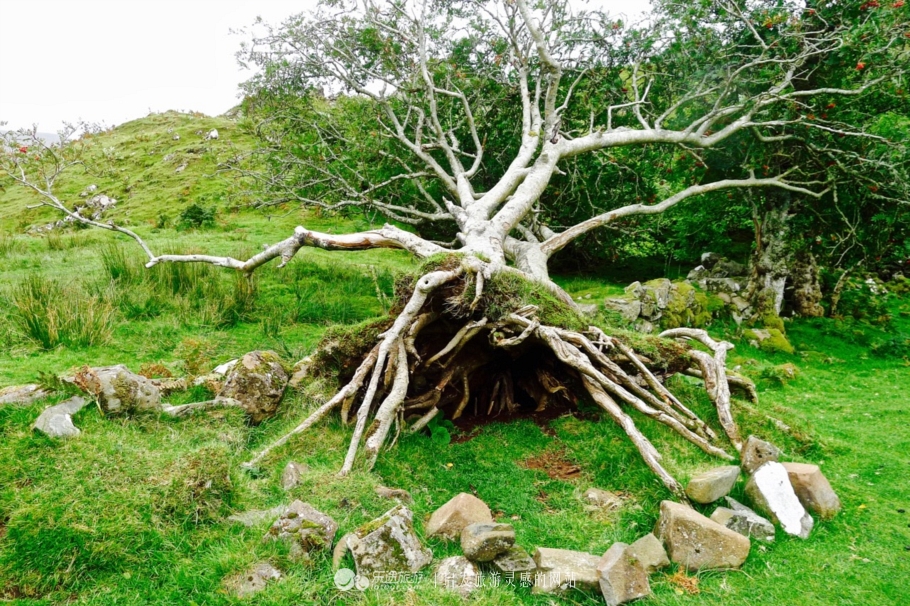 天空岛四个岩柱,天空岛秘境解密