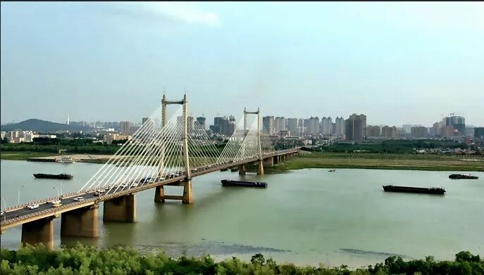 火了!蚌埠最新版使用说明书,竟然有这么多人不知道!