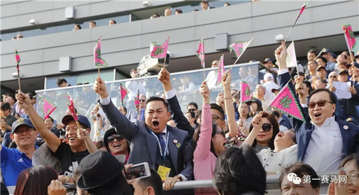 2021浪琴表香港国际赛视频,奖金一亿三千万的赛马比赛