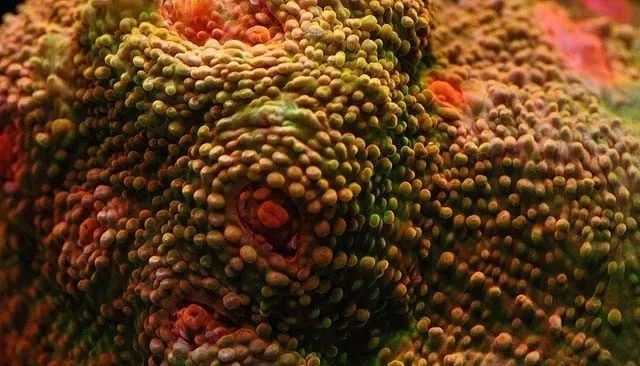 水管工人的美缸，美出新高度！