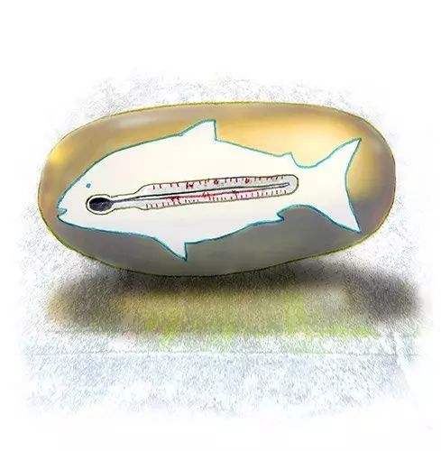 「同语轩」众说纷纭话“鱼油”