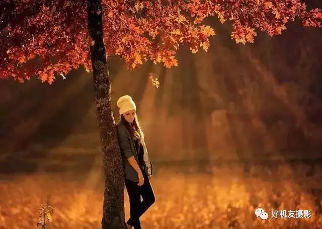 绉嬪ぉ灏嗚鏉ヤ复,绉嬪ぉ鍗冲皢鏉ヤ复