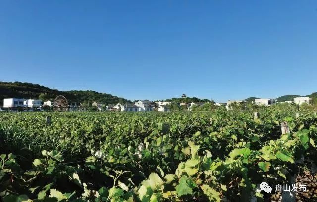 舟山和岱山哪个更值得去,舟山岱山的风景