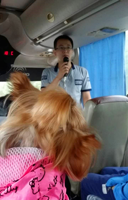 活动回顾|欧帝亿主题狗狗巴士察哈尔草原深处探秘万年火山