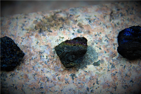 活动回顾|欧帝亿主题狗狗巴士察哈尔草原深处探秘万年火山