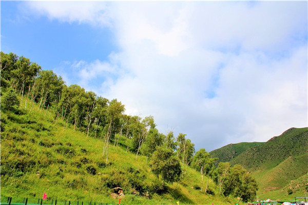 活动回顾|欧帝亿主题狗狗巴士察哈尔草原深处探秘万年火山