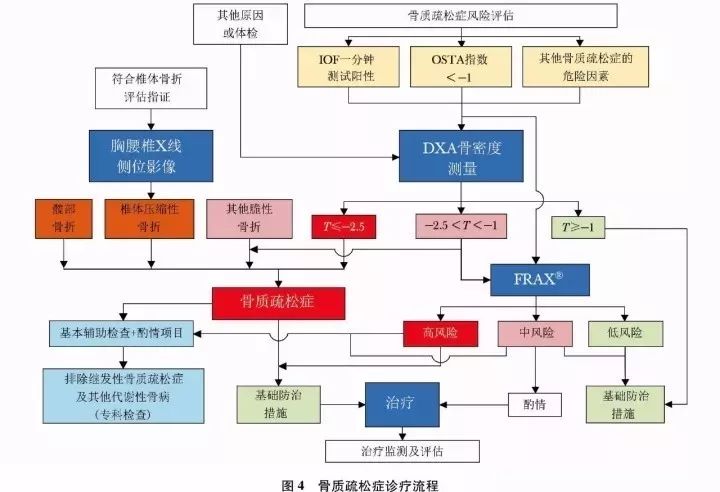 原发性骨质疏松症基层诊疗指南,原发性骨质疏松诊疗指南2018