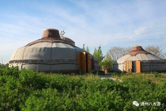 天冷了秋膘可以贴起来了,天冷了囤点膘过冬