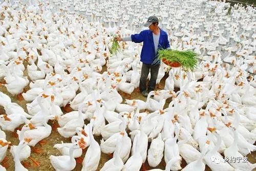 宁波的美食好吃吗,宁波有没有好吃的东西