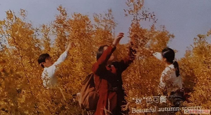 我记忆中的菩提岛（石臼坨）