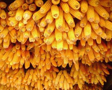 聚焦目标砥砺前行,聚焦责任意识增强责任担当