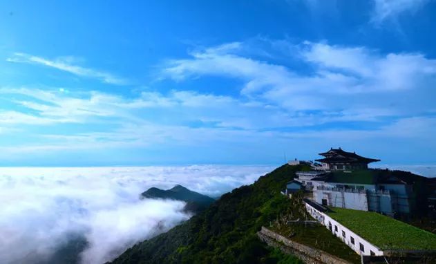 银杏舞，醉深秋｜送您最新赏杏精品自驾游线路！