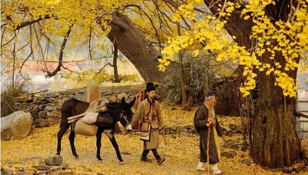 银杏舞,醉深秋|送您最新赏杏精品自驾游线路!