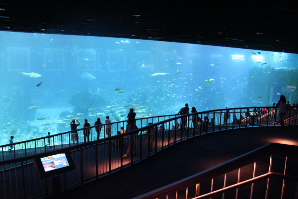 亲子游新加坡旅游攻略推荐,新加坡自由行亲子攻略2015