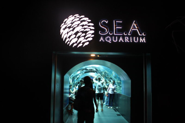 亲子游新加坡旅游攻略推荐,新加坡自由行亲子攻略2015