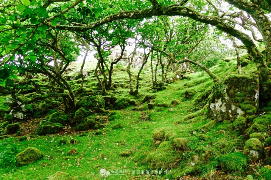 天空岛四个岩柱,天空岛秘境解密