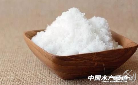 这几个“屌丝”渔药你知多少？生石灰、食盐、二氧化氯，一个比一个好用！