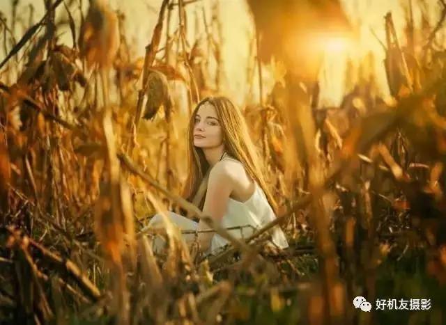 绉嬪ぉ灏嗚鏉ヤ复,绉嬪ぉ鍗冲皢鏉ヤ复