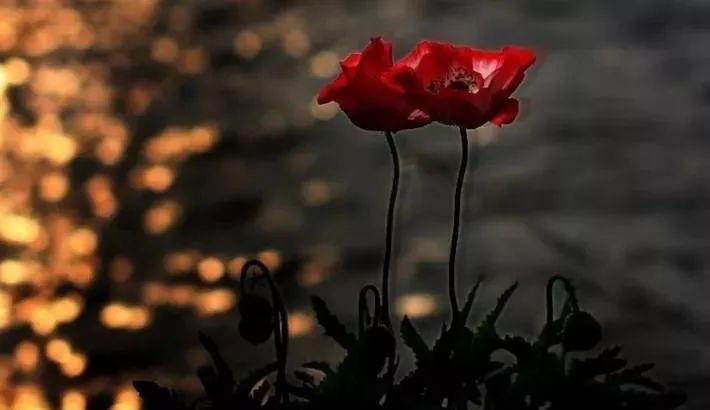 聊聊旧时美容那些事,女人们为了爱美太拼了!