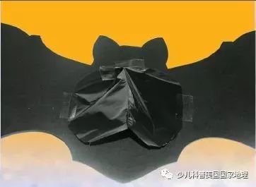 万圣节手工的小饰品,万圣节小饰品制作方法