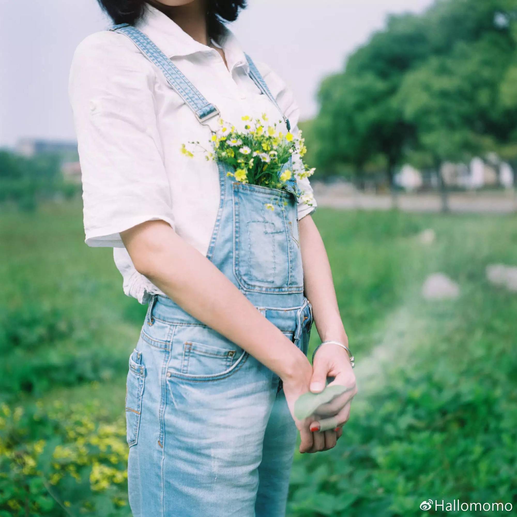 那些年我玩过的胶片机,旁轴胶片机推荐
