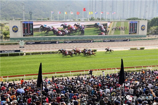2021浪琴表香港国际赛视频,奖金一亿三千万的赛马比赛