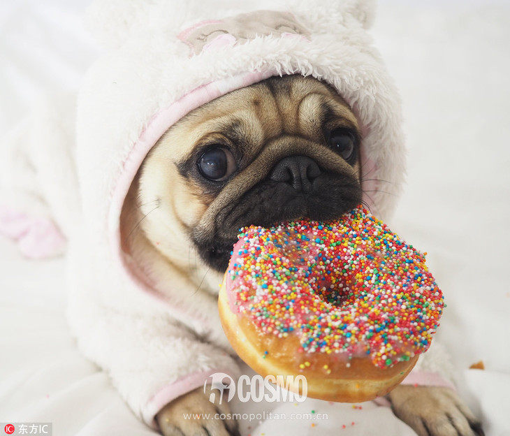 美人计|敏感闭口统统找上门来,这个秋天你该怎么办?