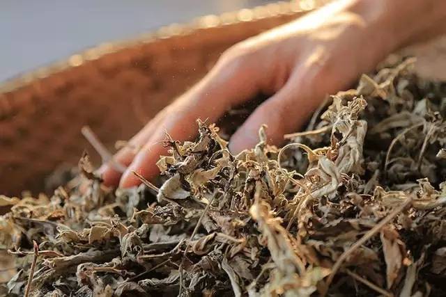 「杏林微科普」您的“尊臀”还好吗?