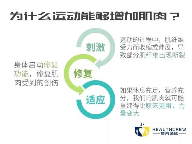 乳清蛋白对健身有什么帮助,健身吃哪种乳清蛋白好